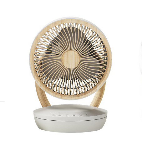 10-inch 3D Circulation fan (FS05)